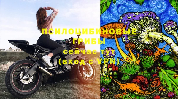 герыч Алзамай