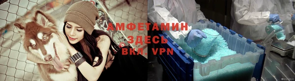 индика Алексеевка