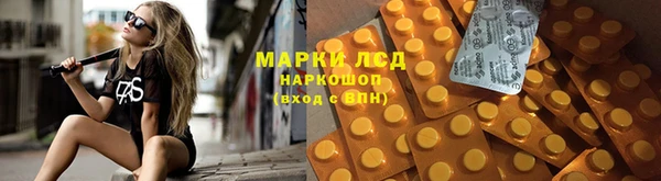 индика Алексеевка