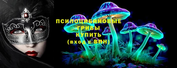 индика Алексеевка