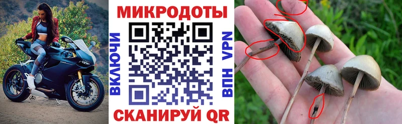 Псилоцибиновые грибы мухоморы  Порхов 